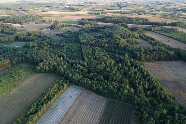 Działka Sprzedaż Bobrowce 4