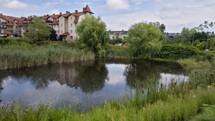 Mieszkanie Wynajem Szczecin Warszewo Złotowska 31