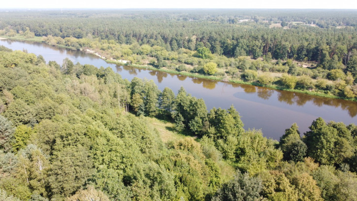 Działka Sprzedaż Paulinowo Królowej Bony 6