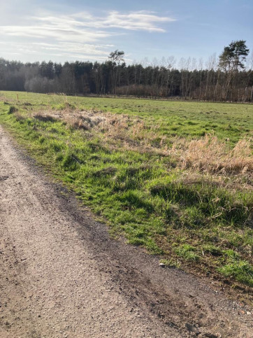 Działka Sprzedaż Dobra 4