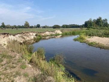 Działka Sprzedaż Wólka Paplińska