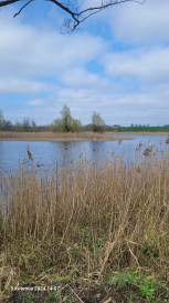 Działka Sprzedaż Zieleniewo