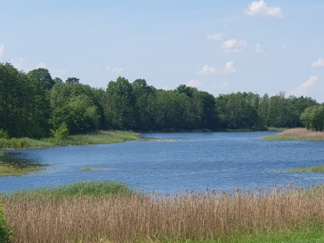 Działka Sprzedaż Zieleniewo