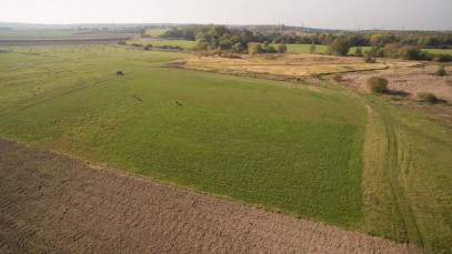 Działka Sprzedaż Szczecin Skolwin