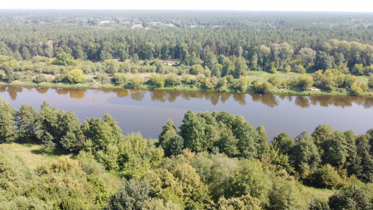 Działka Sprzedaż Paulinowo Królowej Bony 1