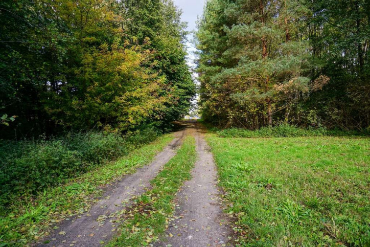 Działka Sprzedaż Waleriany 7