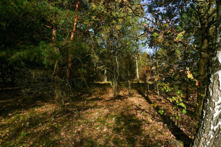 Działka Sprzedaż Puszcza Mariańska Akacjowa 3