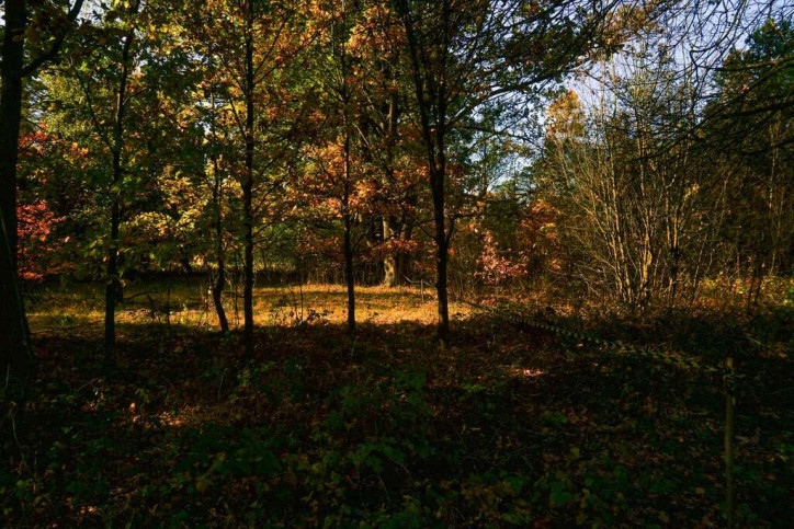 Działka Sprzedaż Puszcza Mariańska Akacjowa 5