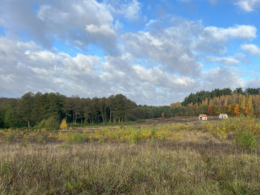 Działka Sprzedaż Skolity