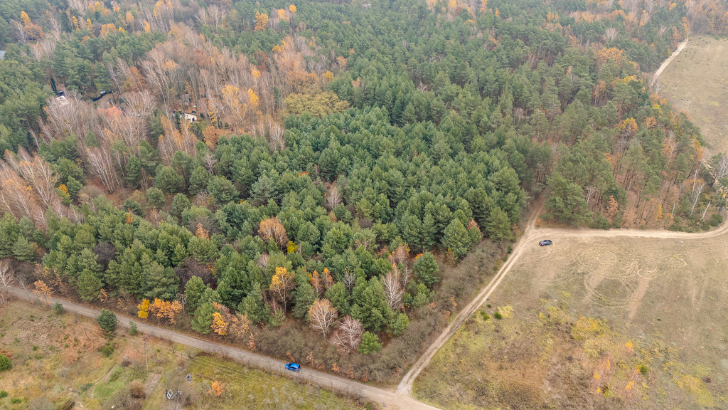 Działka Sprzedaż Siestrzeń Nad Lasem 6