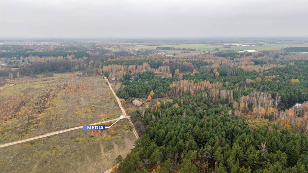 Działka Sprzedaż Siestrzeń Nad Lasem 7