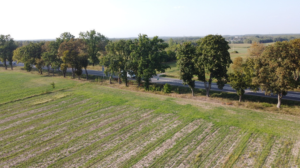 Działka Sprzedaż Bojmie Warszawska 9