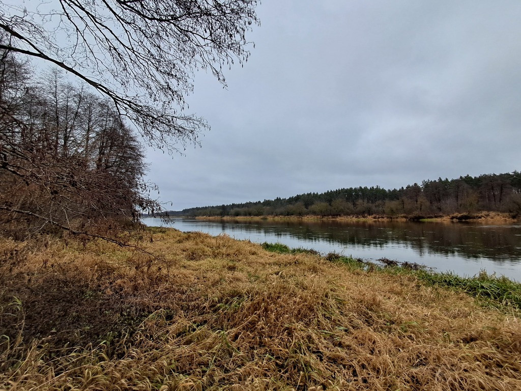 Działka Sprzedaż Paulinowo Królowej Bony 4