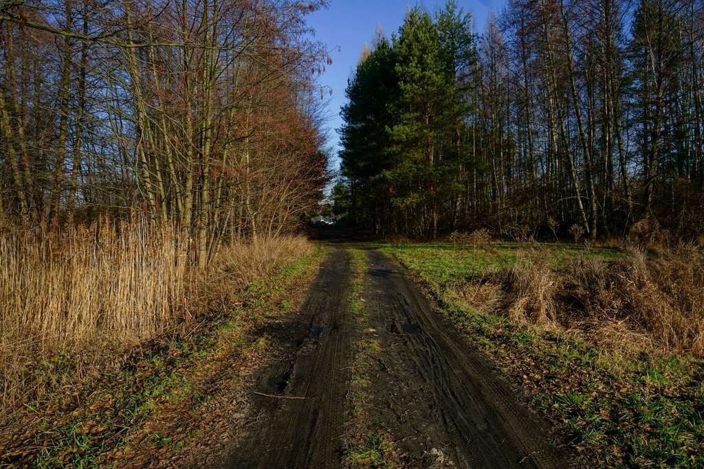 Działka Sprzedaż Waleriany 6