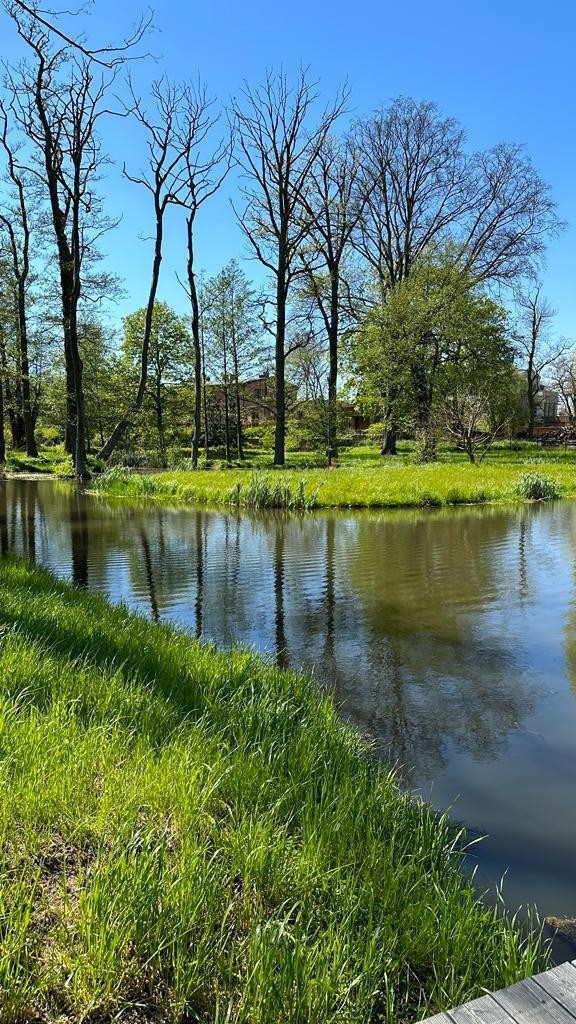 Mieszkanie Sprzedaż Skarbimierzyce 22