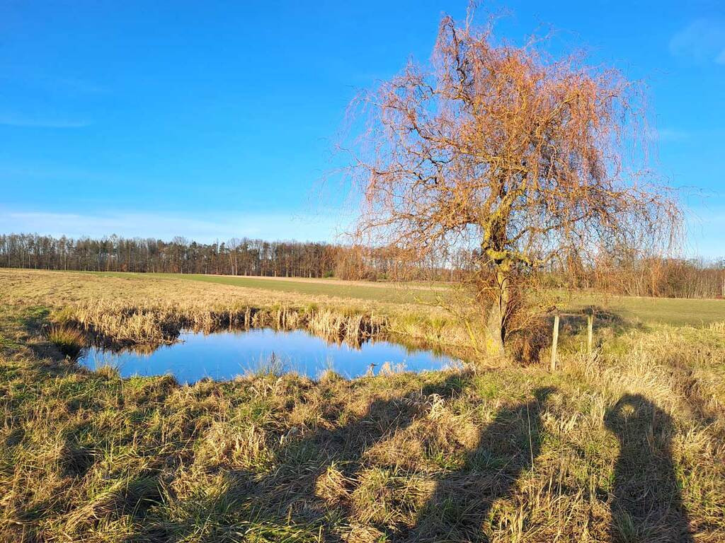 Dom Sprzedaż Huta Kuflewska 15