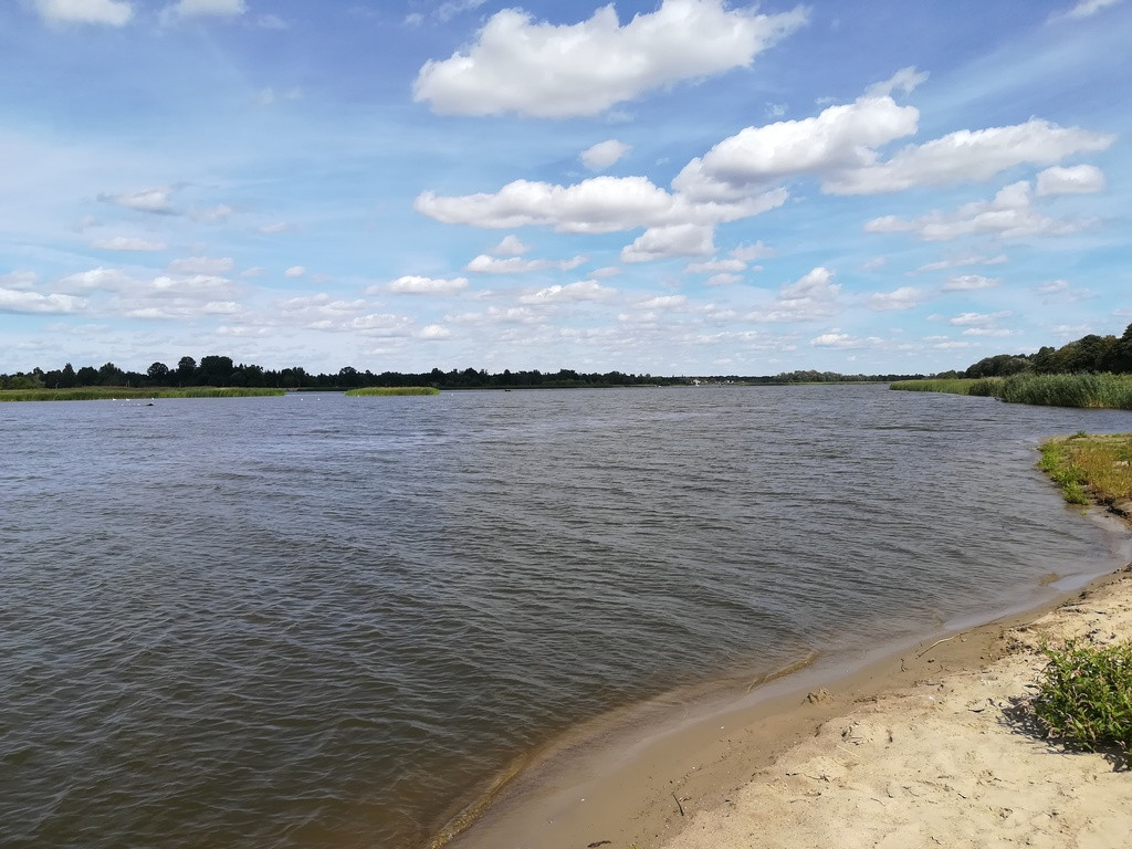 Działka Sprzedaż Arciechów 5