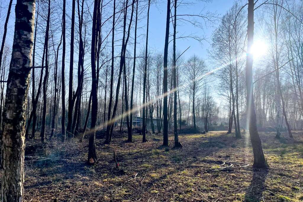 Działka Sprzedaż Bieganów Królowej Marysieńki 6