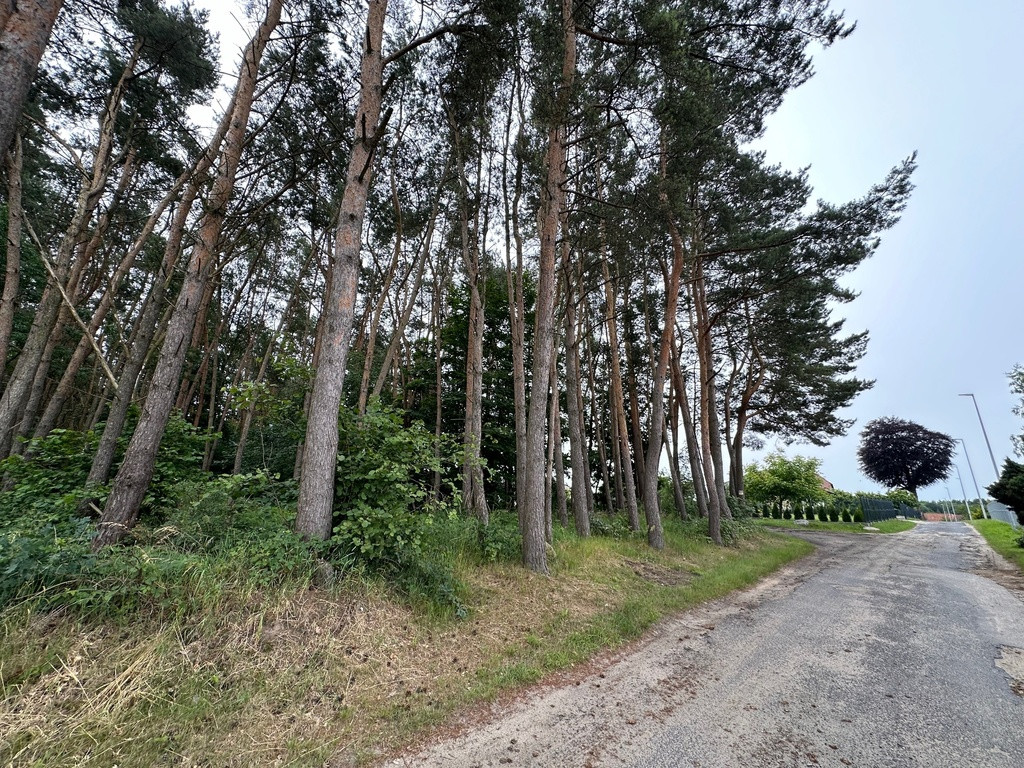 Działka Sprzedaż Szczecin Płonia 10