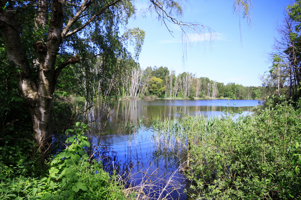 Działka Sprzedaż Bartoszewo 4
