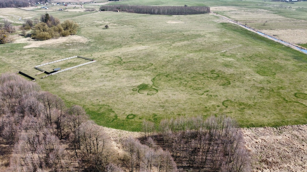 Działka Sprzedaż Goleń 7
