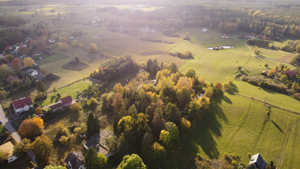 Działka Sprzedaż Borowe 10