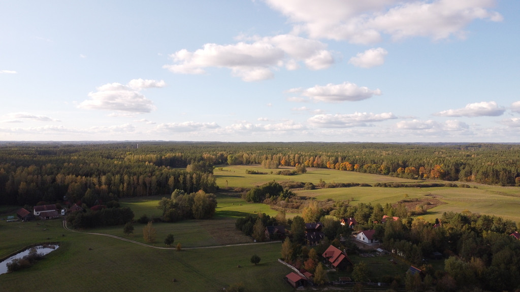 Działka Sprzedaż Borowe 15