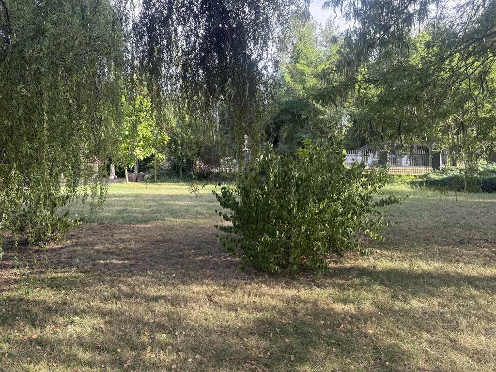 Działka Sprzedaż Dobrzyń Prosta 7