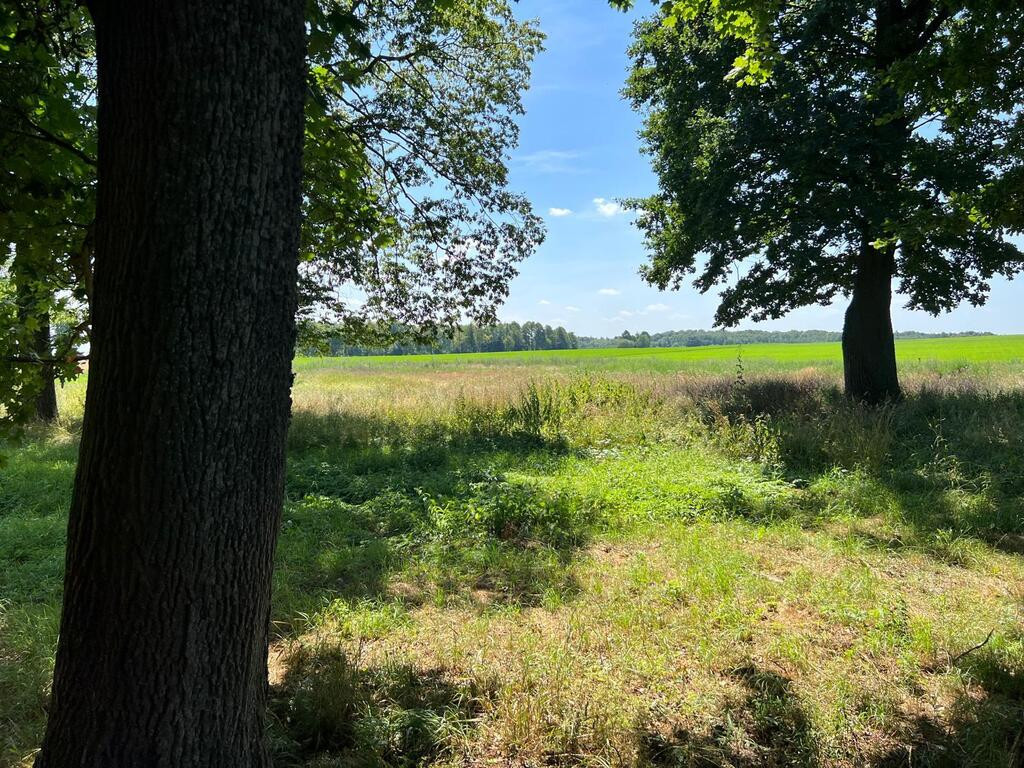 Dom Sprzedaż Skarpa