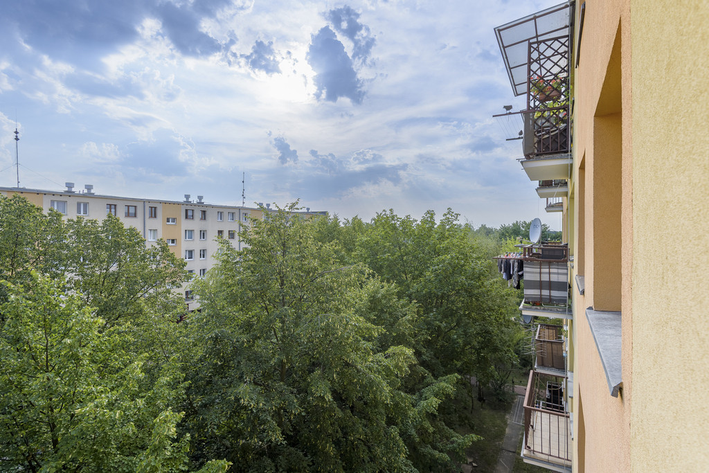 Mieszkanie Sprzedaż Legionowo Zegrzyńska 11