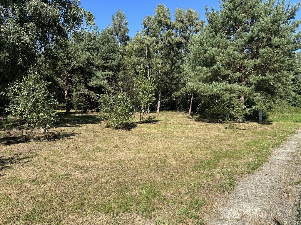 Działka Sprzedaż Ładzin