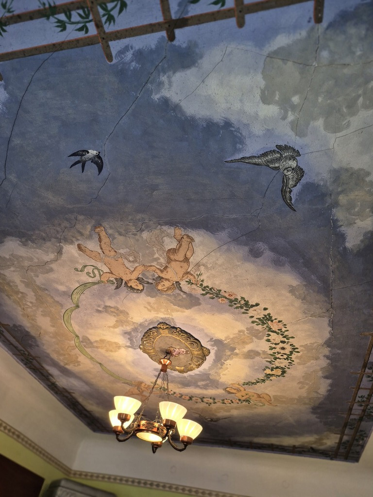 Dom Sprzedaż Lisie Pole 9