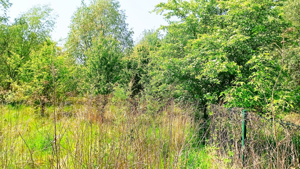 Działka Sprzedaż Lusowo 9