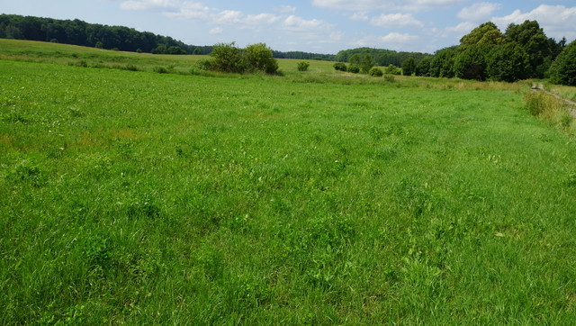 Działka Sprzedaż Bobolice 6