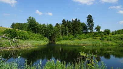 Działka Sprzedaż Bobolice