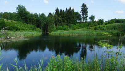 Działka Sprzedaż Bobolice