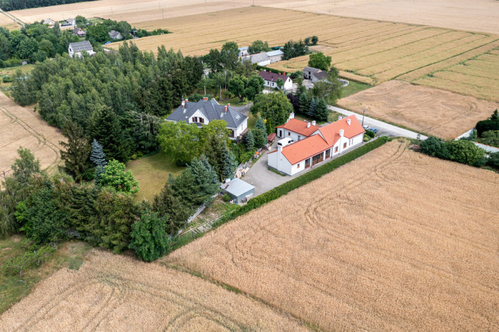 Dom Sprzedaż Rogalin Jesionowa 17