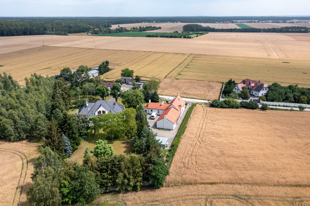 Dom Sprzedaż Rogalin Jesionowa