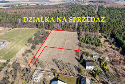 Działka Sprzedaż Załuski