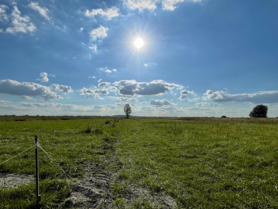Działka Sprzedaż Wierzbno 7