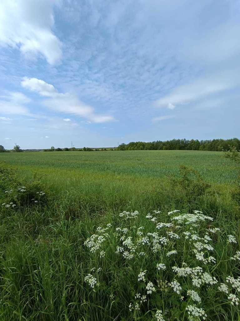Działka Sprzedaż Myśliborzyce 7