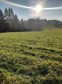 Działka Sprzedaż Wejdyki