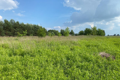 Działka Sprzedaż Wąsy-Kolonia