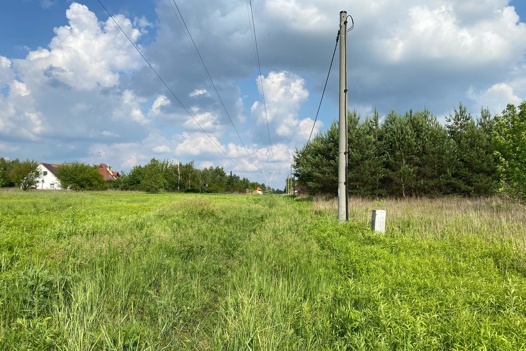 Działka Sprzedaż Wąsy-Kolonia