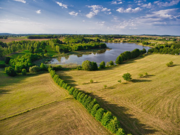 Działka Sprzedaż Brzydowo