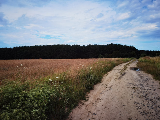 Działka Sprzedaż Kołczewo 8