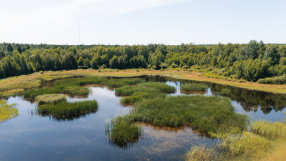 Działka Sprzedaż Sierpc