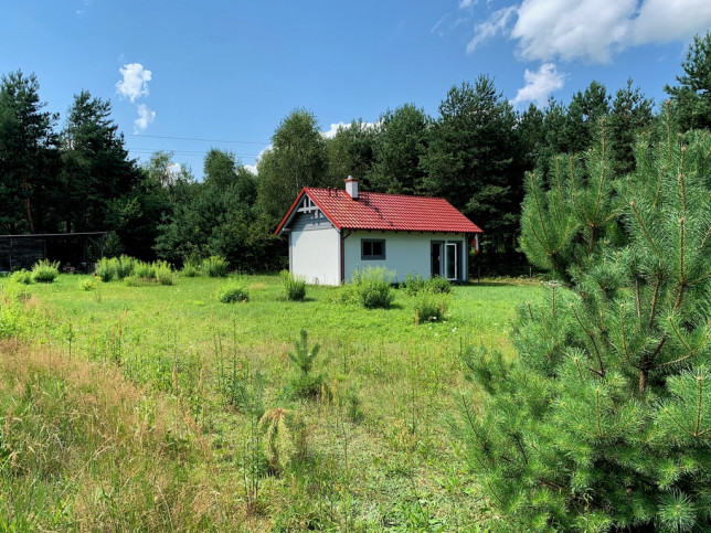 Działka Sprzedaż Pelnik 5