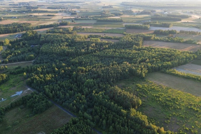 Działka Sprzedaż Bobrowce