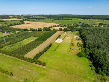 Działka Sprzedaż Binowo